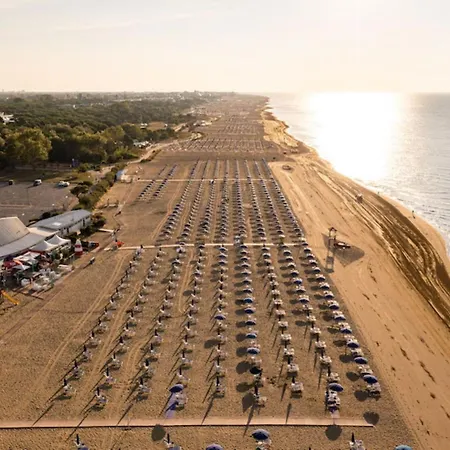 In Exclusive Complex *